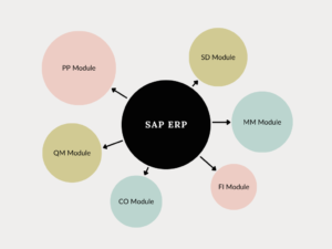 Modules and versions in SAP